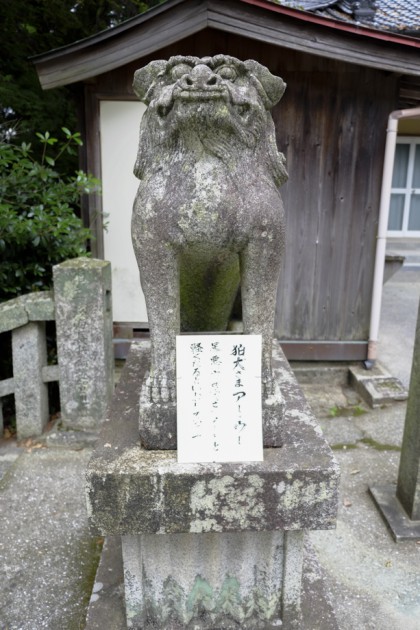 DSCF2732