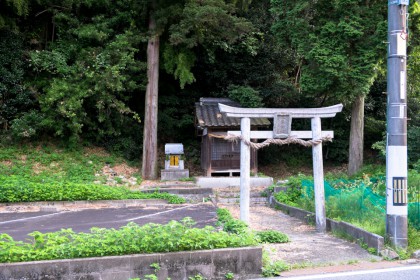 正面からの写真