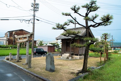違うアングルから撮影