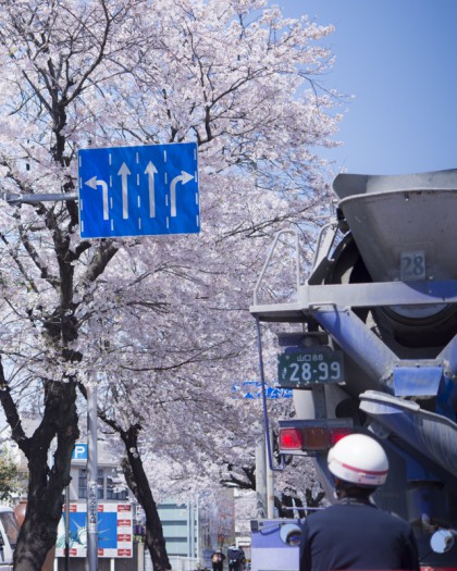 桜を見つめる郵便局の人