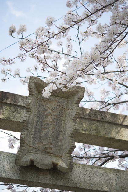 児玉公園の風景 児玉公園の風景