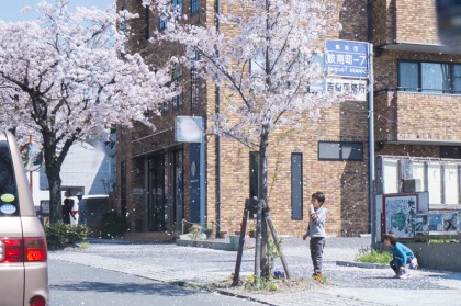 桜の下で遊ぶ子どもたち 桜の下で遊ぶ子どもたち